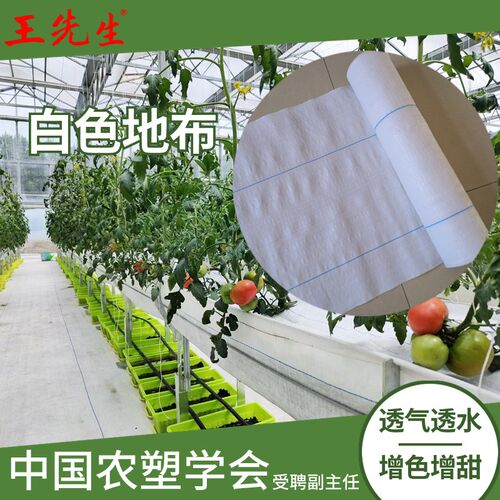 王先生漫反射白色反光地布 玻璃温室西红柿用加厚耐磨防草布地布