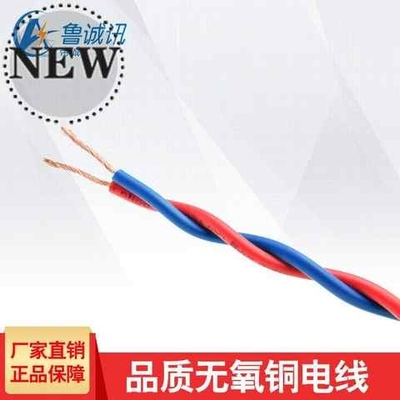 极速3000功率国标纯铜电线2芯电源线铜线x花线双绞电线.充电软线