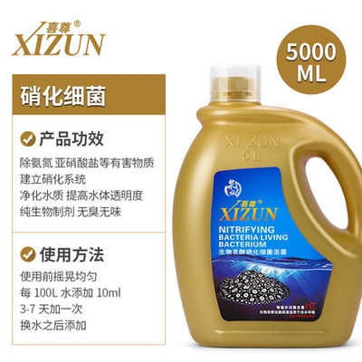 digestioqn culture bacteria fish bacteri active 极速Bacteria