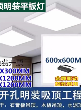 雷顶l600x600明装led水泥顶30x120吸顶专用300x600x1200免开孔