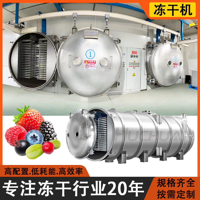 全自动FD榴莲草莓真空冻干机 果蔬脆食品果蔬宠物零食 真空冻干机