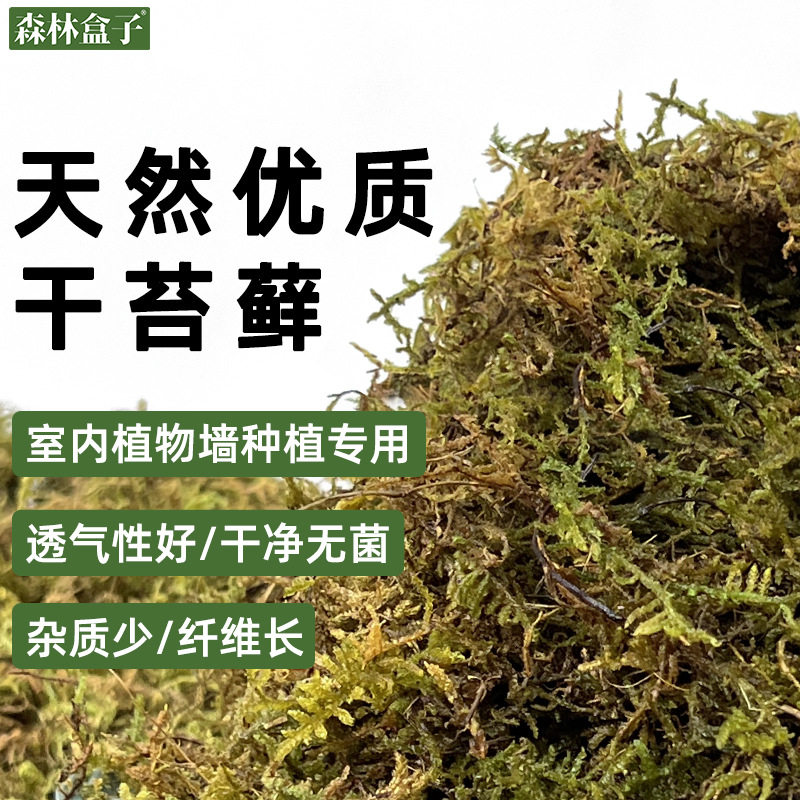 厂家直供优质干苔藓压缩水苔室内植物墙栽培基质蝴蝶兰微景观水苔