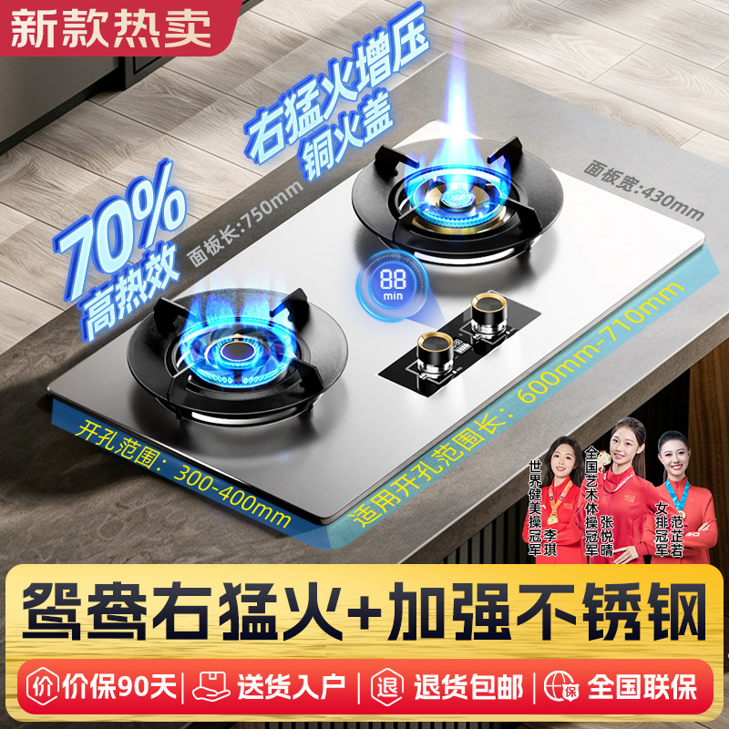左右猛火燃气灶天然气煤气灶双灶