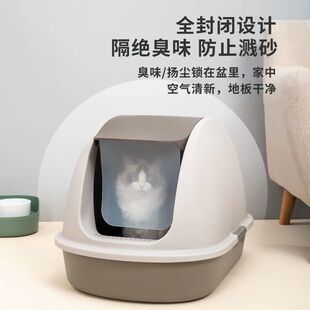 Extra Box Litter ALarge Cat Large 极速Cat