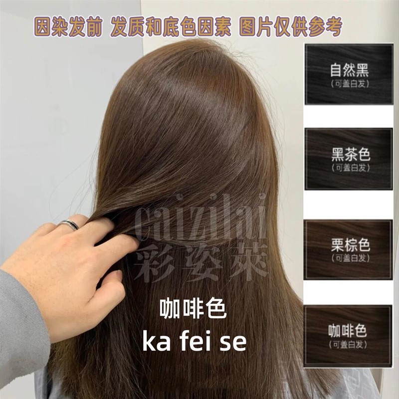 极速【2瓶装】植物泡泡染发膏染发剂黑茶栗棕咖啡色4W00毫升/瓶