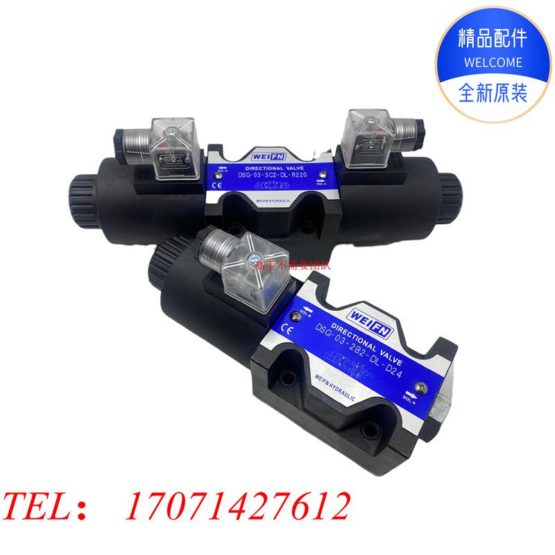 极速DSG-02-3C2-DL-D24液压电磁换向阀03-2B2 2B3B 3RC3 3C4 3C6