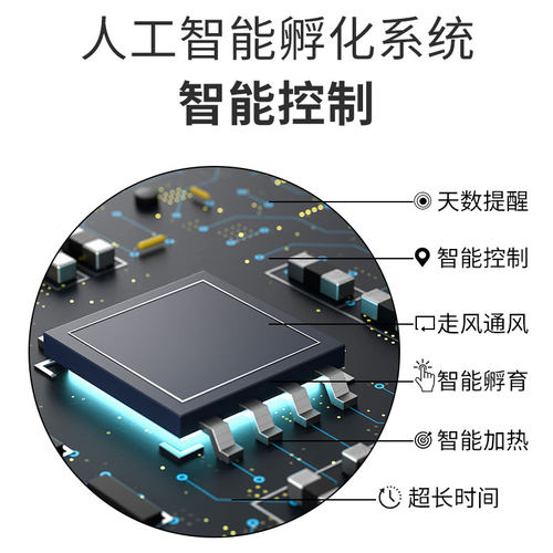 极速孵化b器全自动小型家用智能孵化箱自动翻蛋小鸡鸭鹅鸟蛋恒温