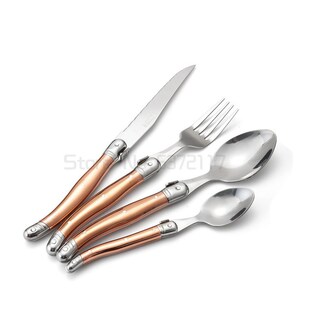 极速Laguiole Tableware set BlackD Plastic Handle Dinnerware