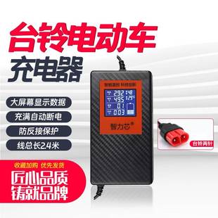 台铃电动车充电器48V12AH60V20A72V电瓶车三轮车智能通用原装 断电