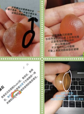 极速鱼惊石大青鱼石原石乌青鱼喉骨E手串吊坠挂饰制作特大骨料把