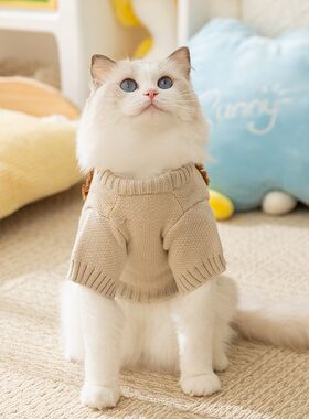 极速宠物猫咪g衣服防掉毛可爱小狮子毛衣布偶猫英短美短秋冬款银