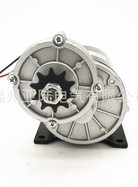 极速MY1020Z 600W 36 48 60V电动车有刷电机 工业驱动电Z机 三轮