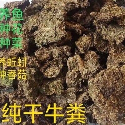 纯干牛粪块天然发酵农家r有机肥种花种菜家庭园艺肥牛屎牛粪饼底