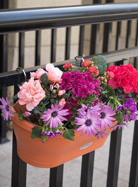 极速阳台栏杆栅栏挂盆墙壁长花盆大号壁挂花盆米白砖W红色园艺塑