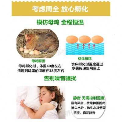 厂销水床孵化器家用型鸡鸭鹅v孵化机55枚小型90枚卵蛋箱全自动控