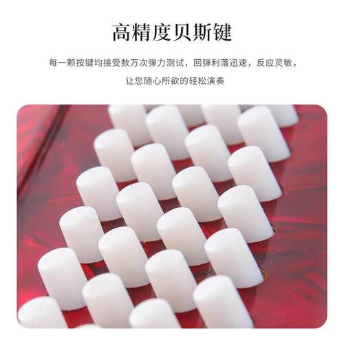 极速l330键32斯s儿童成人专业F手风琴键贝盘琴2b贝司乐器M