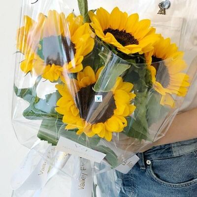 极速&ldquo100x54cm Clear Cellophane Wrap Roll For GifYt Flow