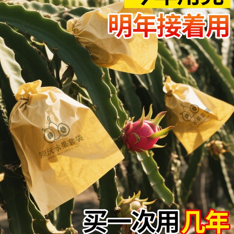 热销火龙果套袋防虫防鸟专用纸袋西红柿番茄葡萄桃子W水果套袋重