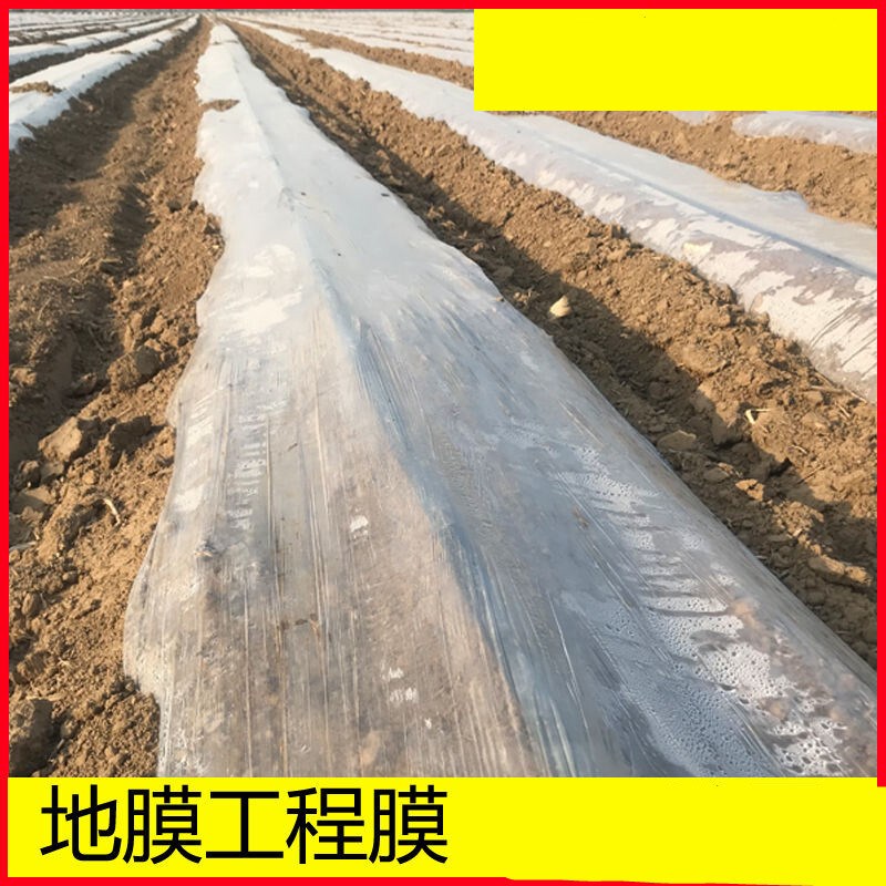 热销溥膜农用棚膜地膜p加厚种植农用地薄膜土壤种菜膜塑料膜薄膜