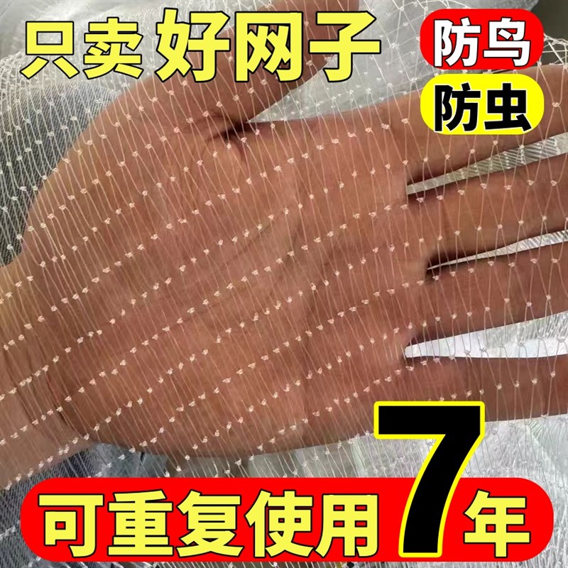 热销防鸟网果树果园大棚尼u龙线 线防乌网葡萄园水果园蔬菜园虾塘