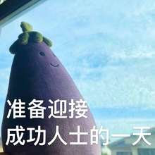 现货速发jely茄子玩偶紫色茄总先生毛绒抱枕礼物