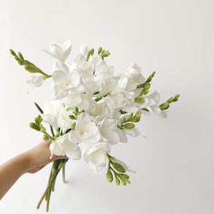 仿妆PU玉簪花水仙手感仿真花花束摆件客厅餐桌假花摆花轻奢小苍兰