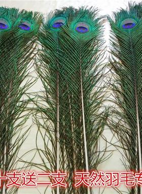 家居饰品摆件孔雀羽毛纯天然真孔雀毛花瓶装饰品孔雀翎尾婚庆羽毛
