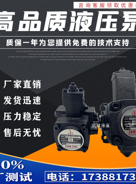 速发JU  VP-VF-20-D SP-SF-0 15 40 叶片油泵TVP-SF-40-D