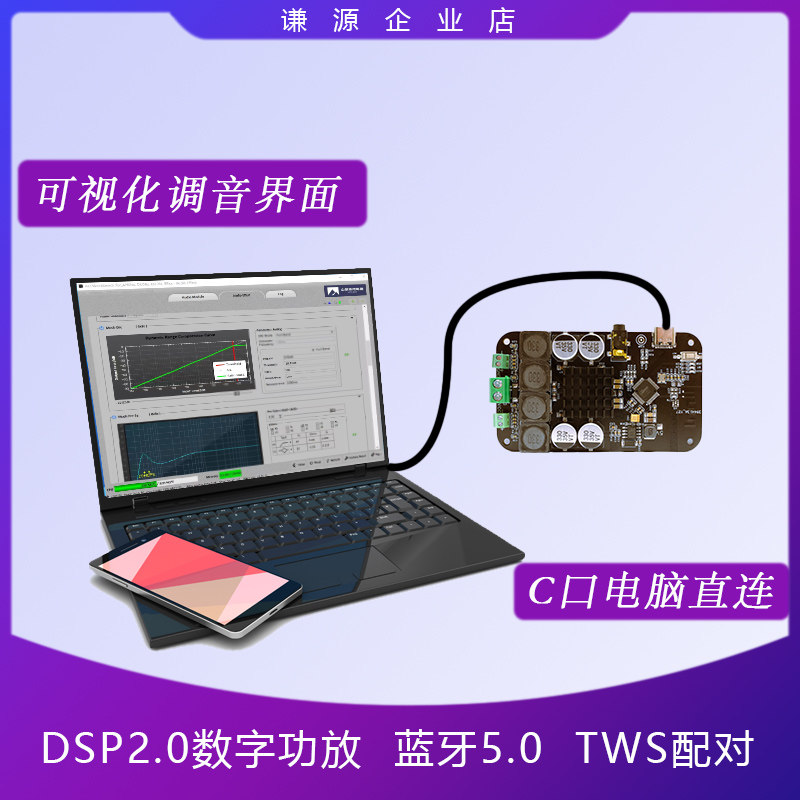 极速DSP蓝牙功放板2.0功u放数字发烧功放胆机音效立体声低音tws真