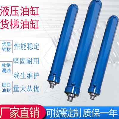 新品新品定做非标长行程油缸货梯油缸小型单N双向电动液压缸升降