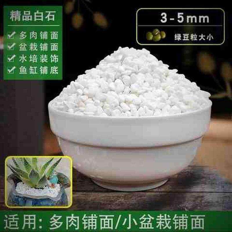极速多肉植物铺i面石子彩色七彩五彩石子沙子鹅卵石花盆鱼缸装饰