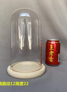 极速永生花玻璃罩展示盒 diy模型装饰桌面摆P件干燥花透明防尘罩