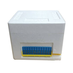 极速顶格泡沫交尾箱育王蜜蜂交尾箱小G型蜂箱蜂王交尾小箱中蜂育