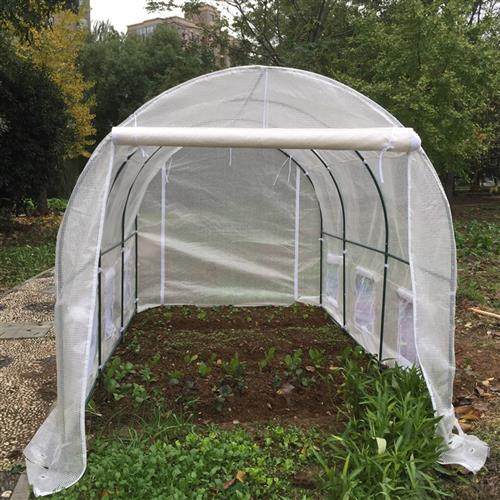 极速厂新室外鸡i鸭鹅葡萄棚棚架阳光棚花房蓬房鸡舍钢架棚大棚管