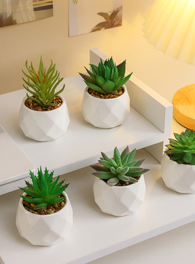 速发办公花桌面多肉绿植室内盆栽工位小摆件仿生室物假植盆景