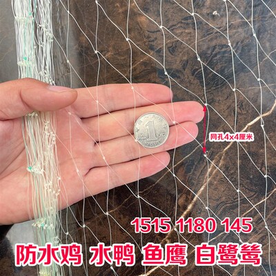 热销鱼塘防鸟网泥鳅m塘天网养殖网牛蛙网大网眼尼龙综丝纱网防鸟