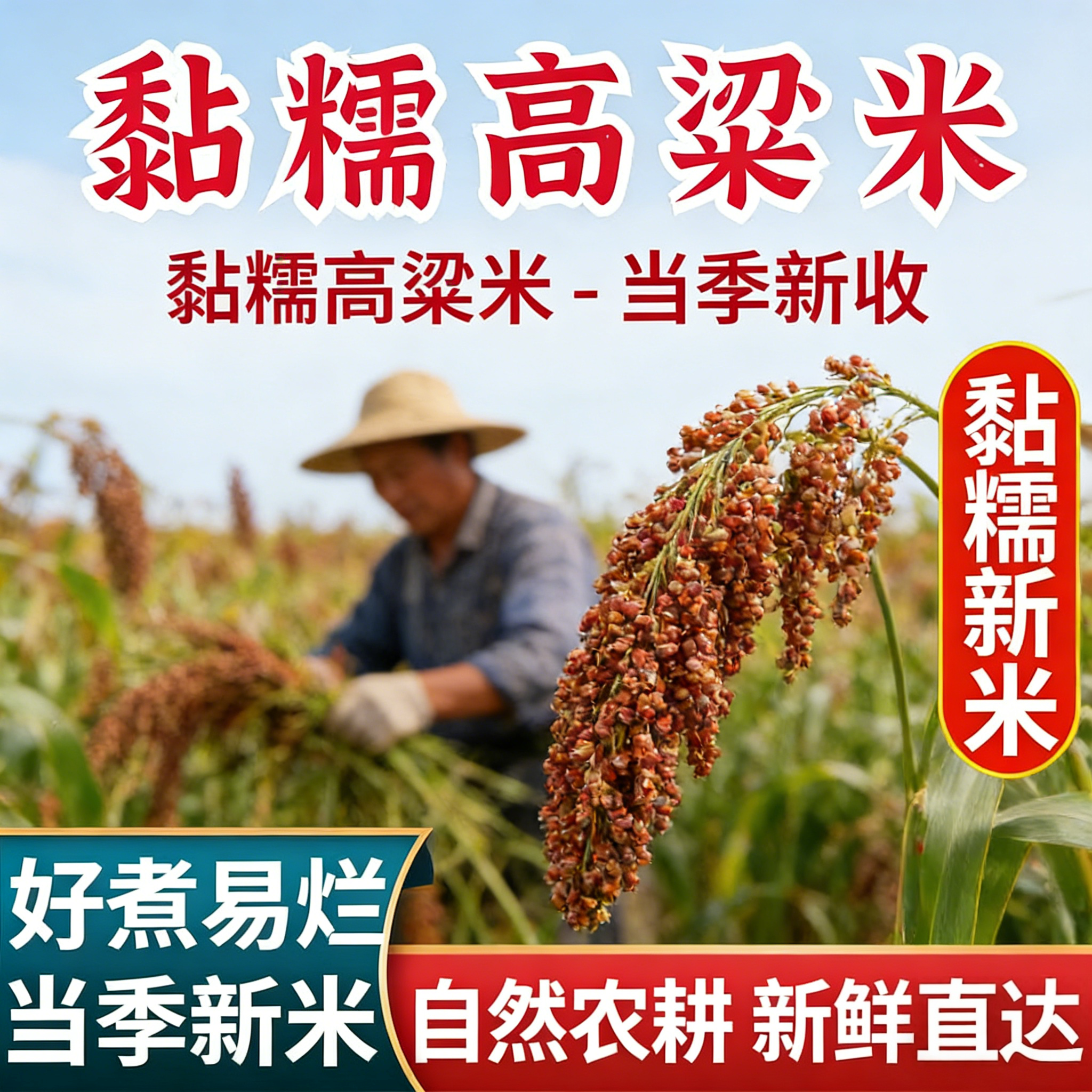 东北粘红高粱米农家自种去皮黏糯高粱米新米甜糯包粽子年糕汤圆