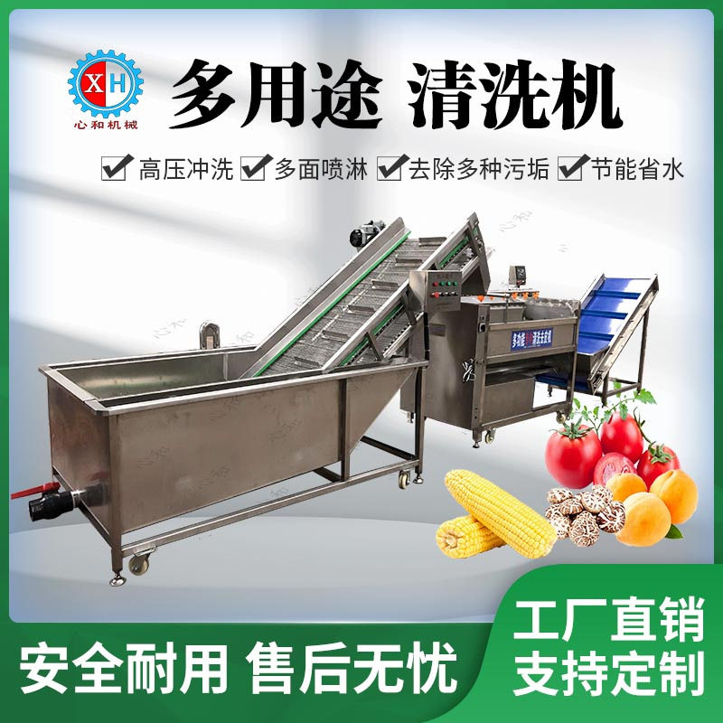 瓜果蔬菜气泡清洗机提升气泡清洗机自动提升洗菜机辣椒气泡清洗机