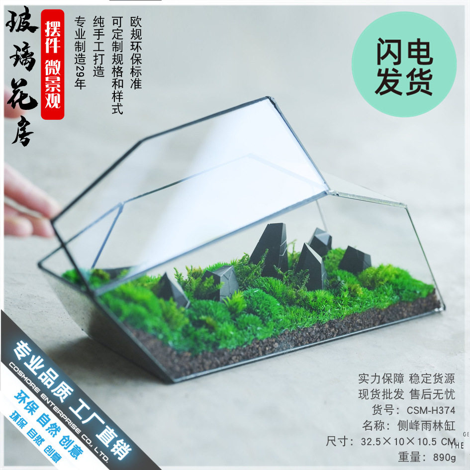苔藓微景观玻璃花房器皿生态雨林缸造景流水植物墙花盆器鱼玻璃罩