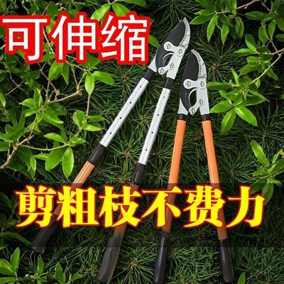 热销新款粗枝剪高枝剪树枝剪刀果树园艺伸缩大力剪园X林专用长杆