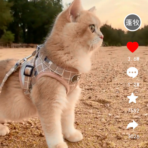 热销网红猫咪牵引绳背心式外出专用防挣脱项圈遛猫绳X自动伸缩背