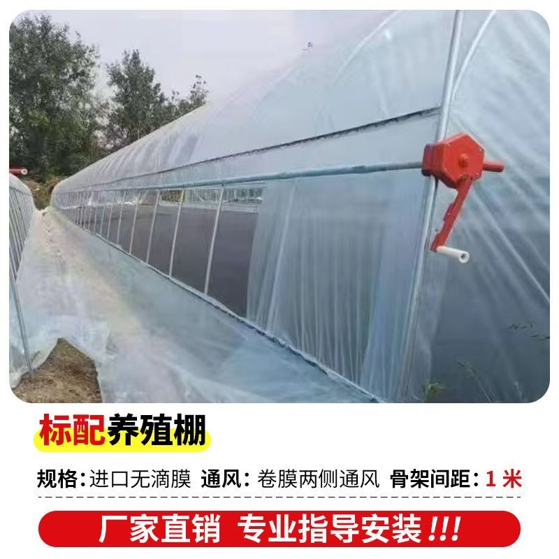 热销全套种植大棚骨架牛棚大棚棚羊棚H专业棚温室家用大棚养鸡养