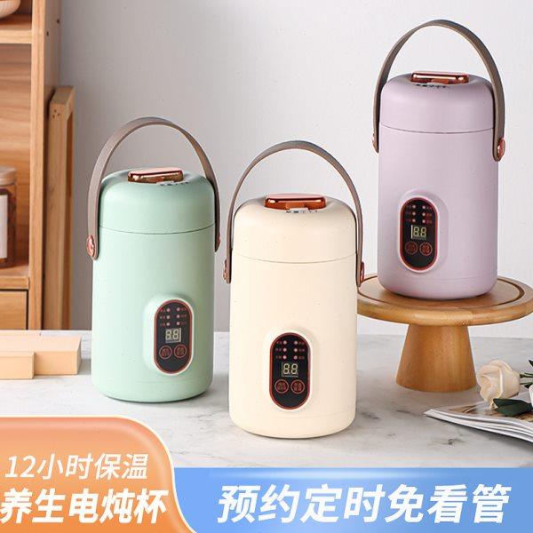 电煮锅迷你炖煮锅便携电汤煲饭家用煲粥专用学生宿舍一体电炖火锅
