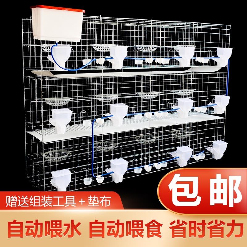 鸽子笼养殖12位16位用品用具配对笼大型繁殖鸽舍家用室外加粗大号