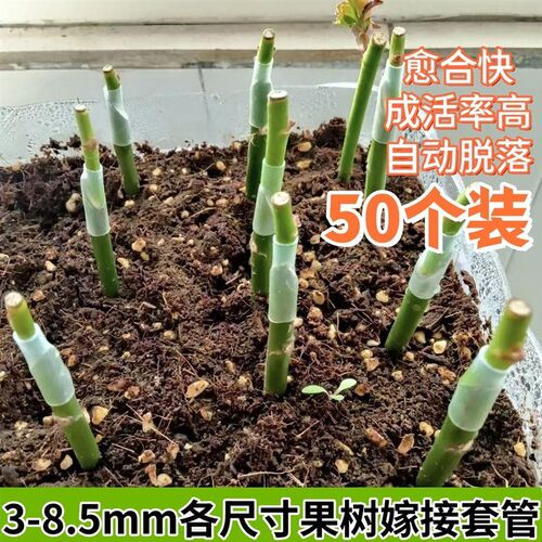 热销50个装嫁接套管果树s花卉植物弹性不伤苗百香果月季可降解免
