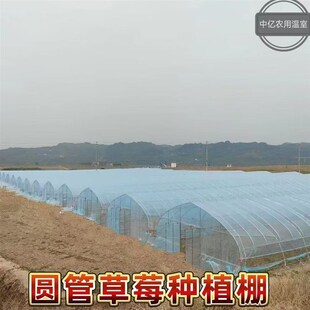 热销温室大棚骨架钢管蔬菜种植养C猪场牛棚羊圈椭圆管养殖大棚配