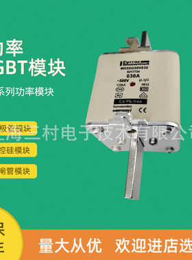 全新熔断器保险NH000UD69V100PVV320063 NH000UD69V125PV X320065