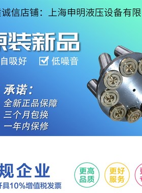 极速HY10/16/25/40/r63/80/100/160/250-RP(LP)斜盘柱塞泵配件