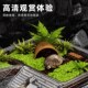 新品 BG亚克力乌龟缸生态特大号A造景全套过滤一体家用小别墅带底