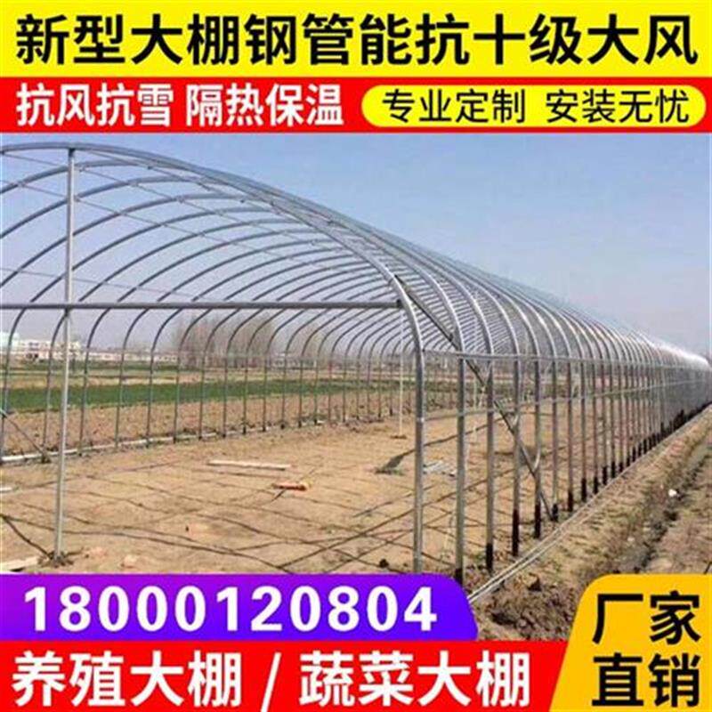 极速养殖大棚骨架钢管架q保温全套Z椭圆B管鸡舍猪舍牛羊圈养猪大